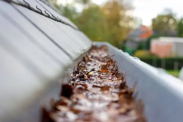 Professional gutter cleaning service Northern Rivers NSW - ladder safety and thorough cleaning Byron Bay Ballina