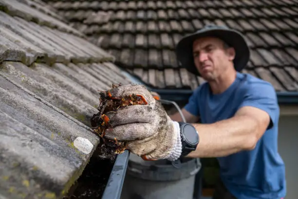 Expert gutter maintenance and repair Northern Rivers NSW - preventing water damage and foundation issues