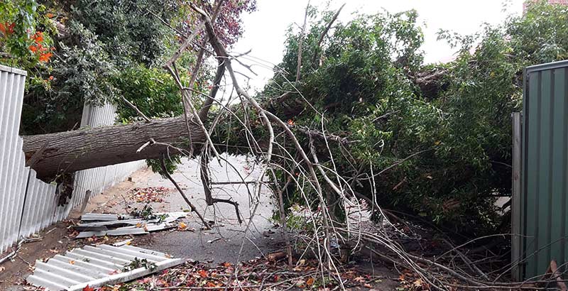 Storm Damage Repairs - Emergency tarping and storm damage response
